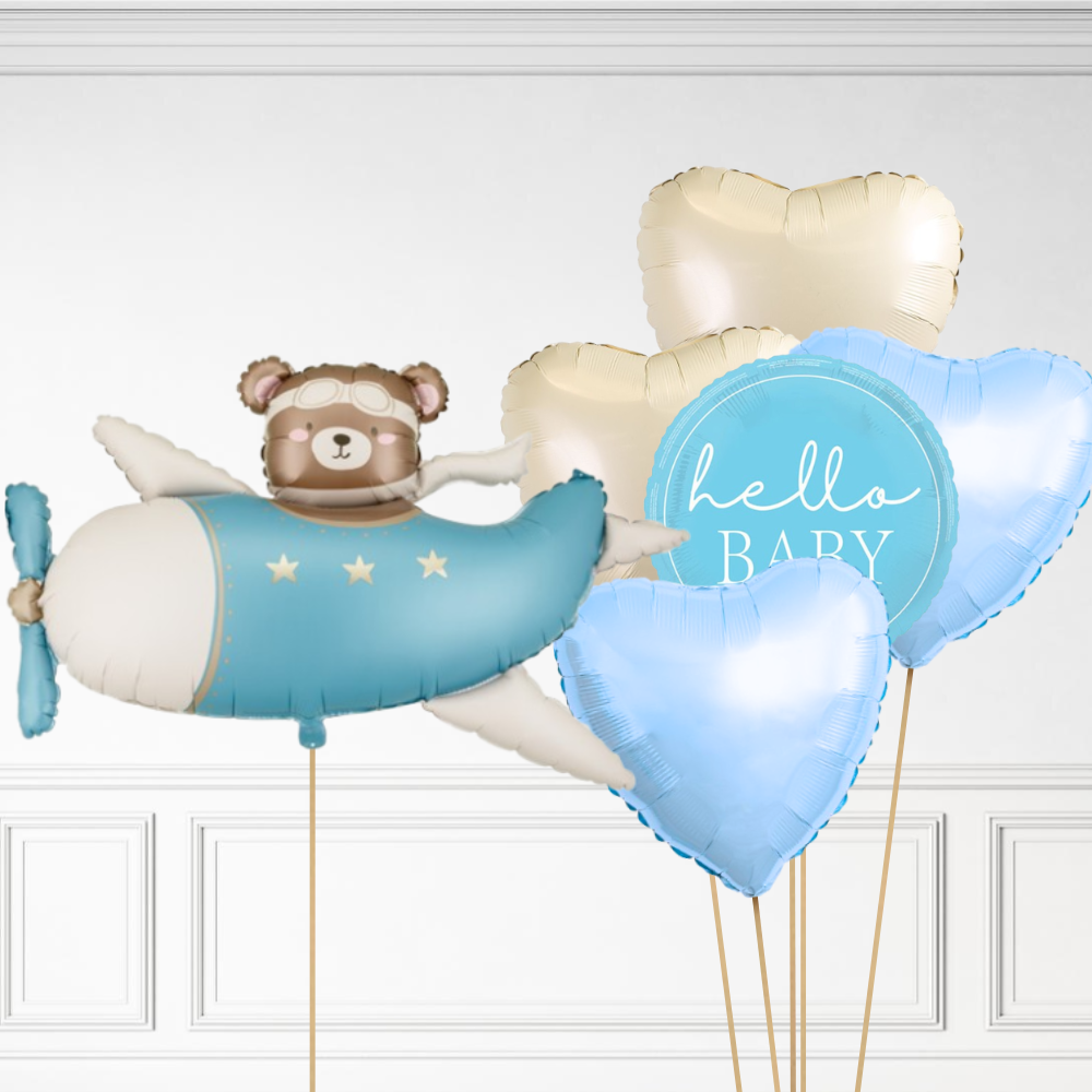 Bear in Plane Bundle