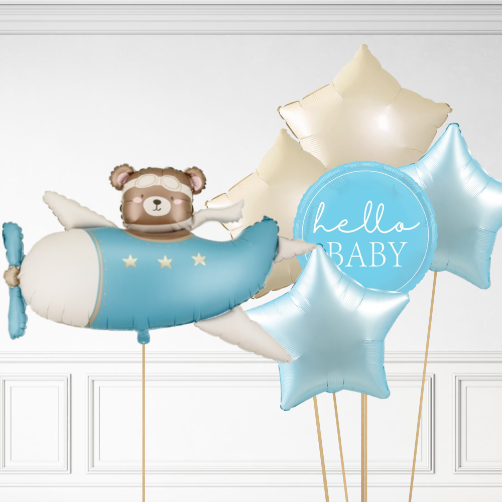 Bear in Plane Bundle