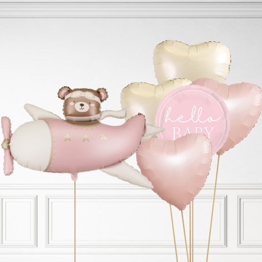 Bear in Plane Bundle