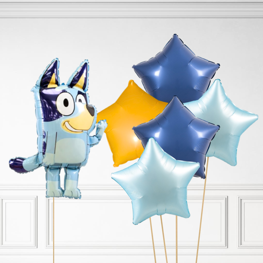 Bluey Bundle