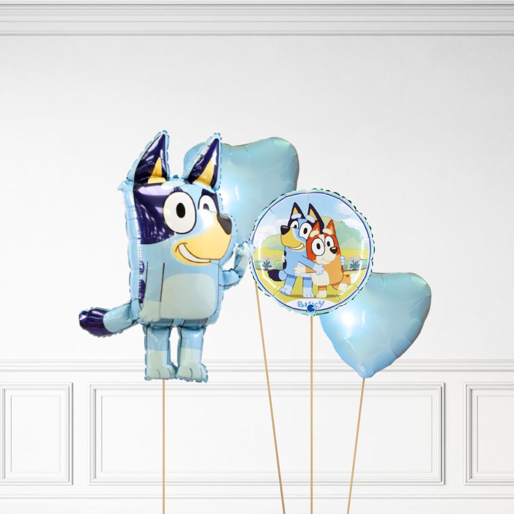 Bluey Bundle