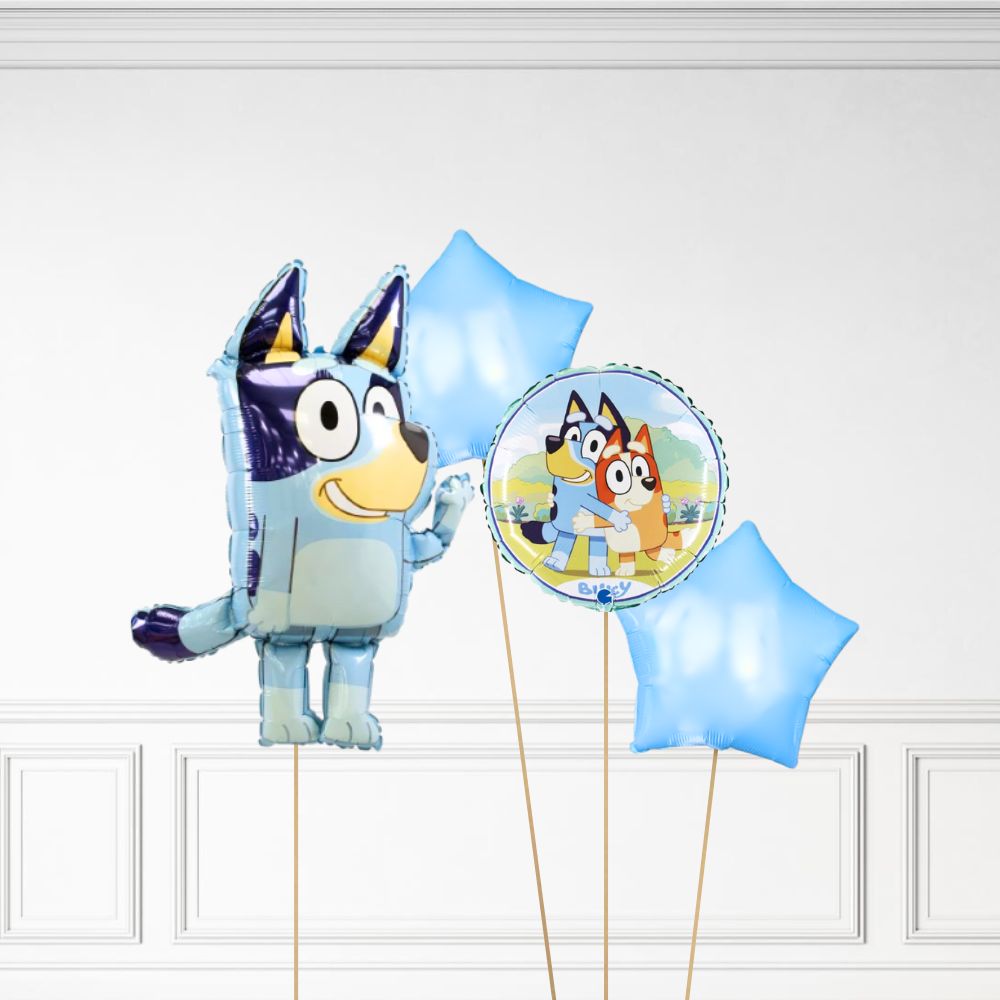Bluey Bundle