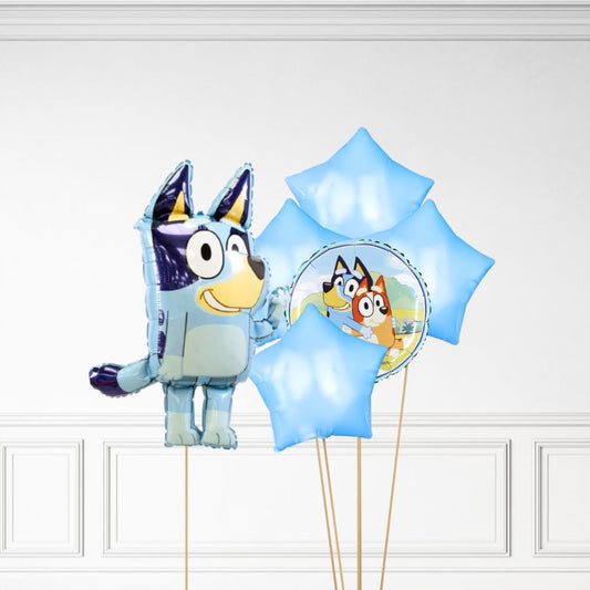 Bluey Bundle
