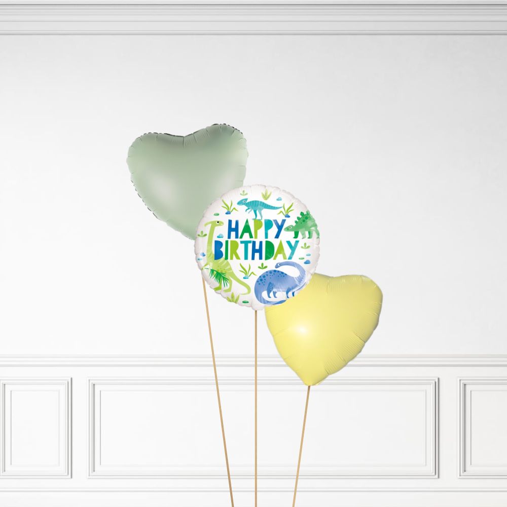 Dinosaur Birthday - Helium Bunch
