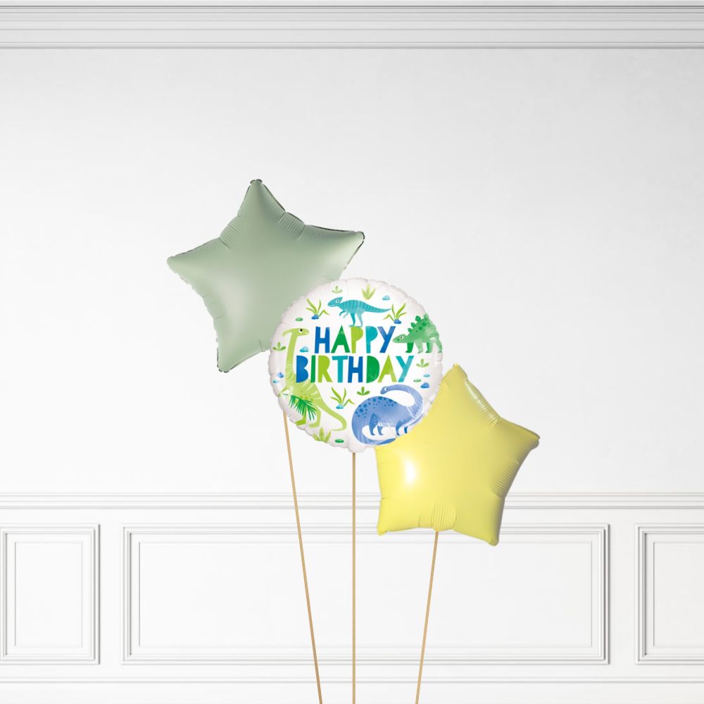Dinosaur Birthday - Helium Bunch