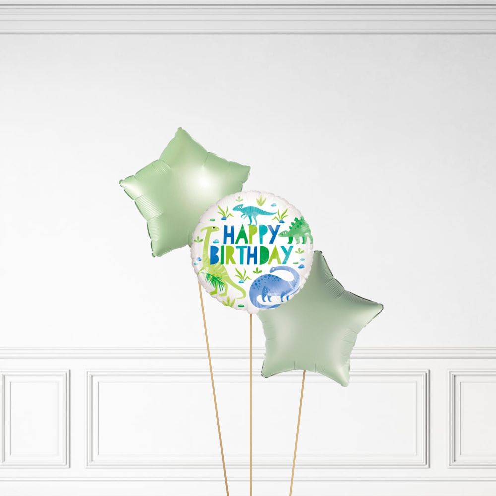 Dinosaur Birthday - Helium Bunch