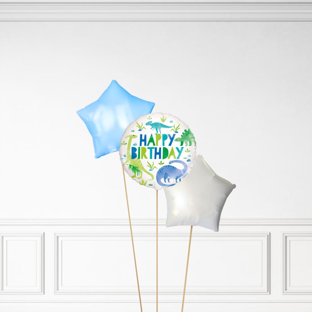 Dinosaur Birthday - Helium Bunch
