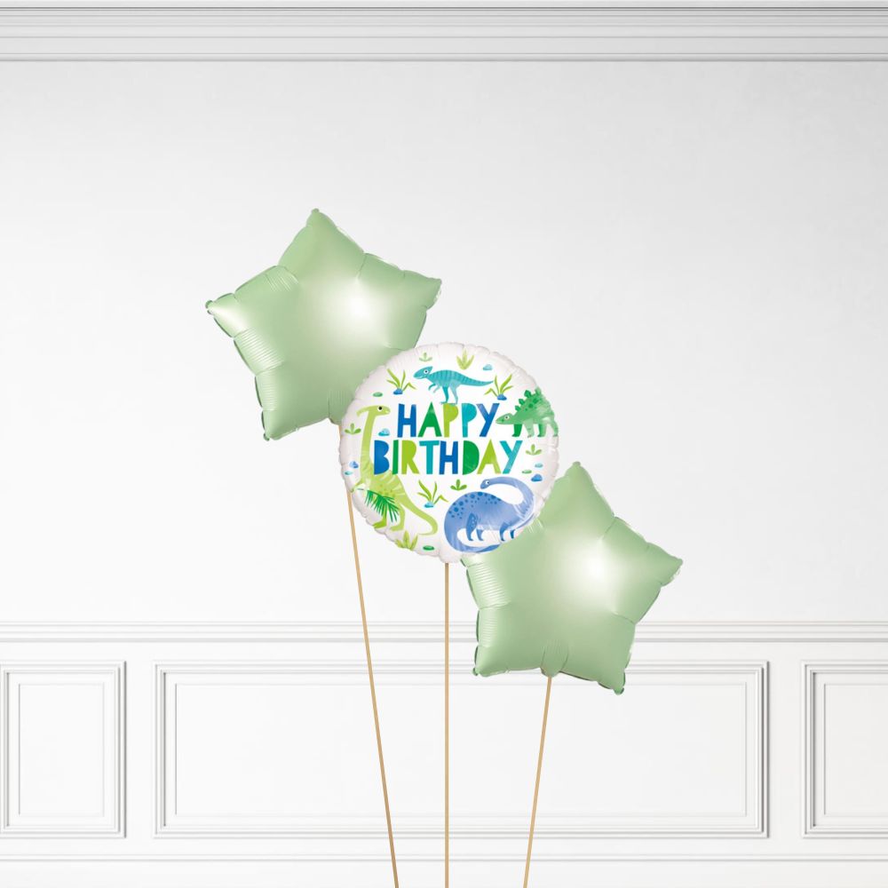 Dinosaur Birthday - Helium Bunch