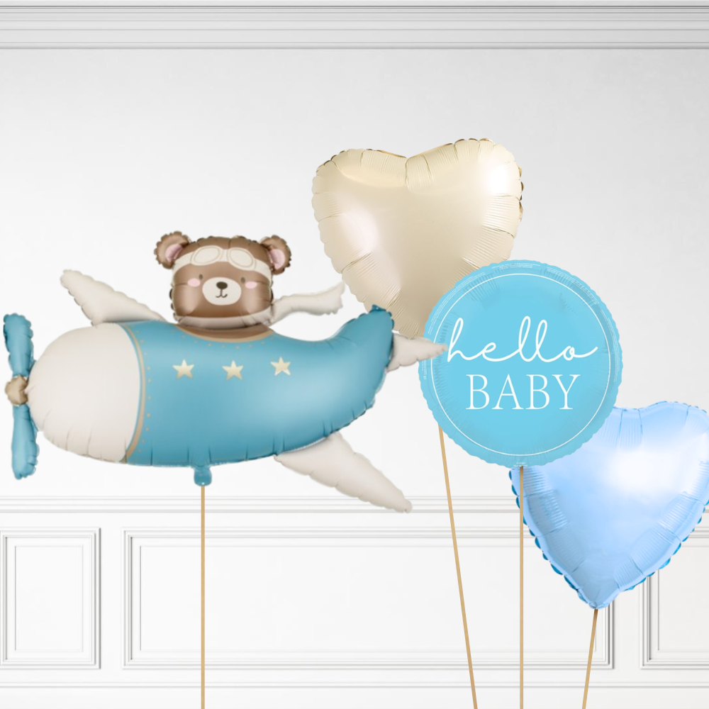 Bear in Plane Bundle