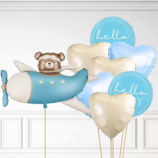 Bear in Plane Bundle