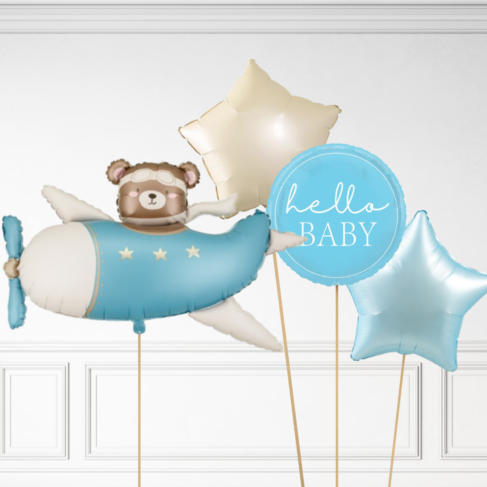 Bear in Plane Bundle