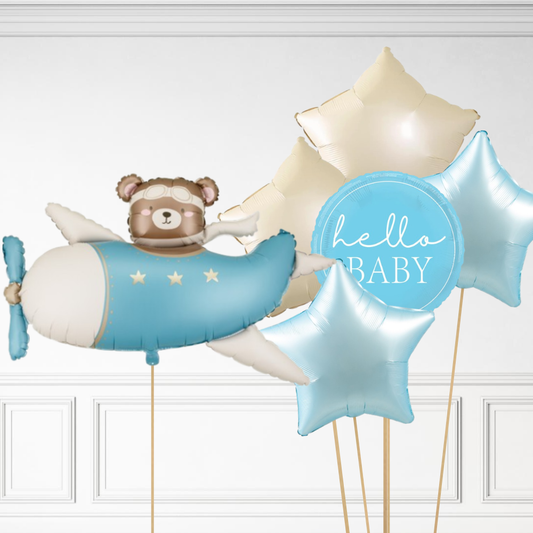 Bear in Plane Bundle