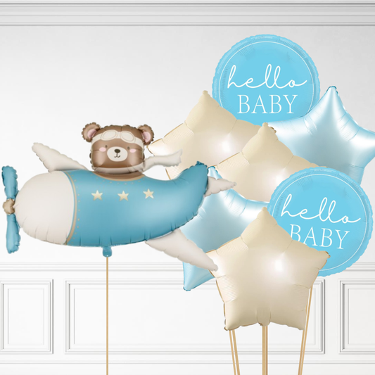 Bear in Plane Bundle