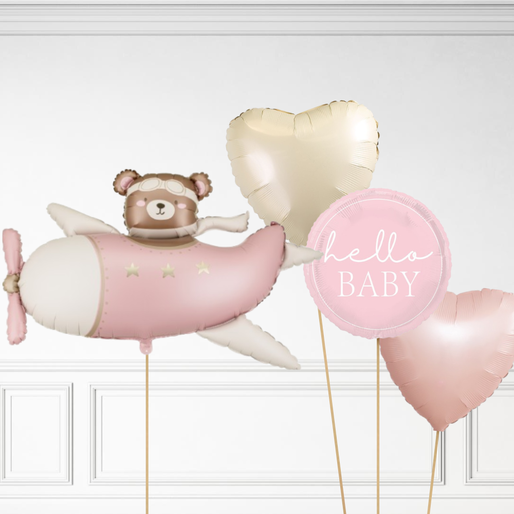 Bear in Plane Bundle