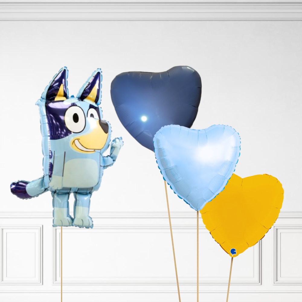 Bluey Bundle