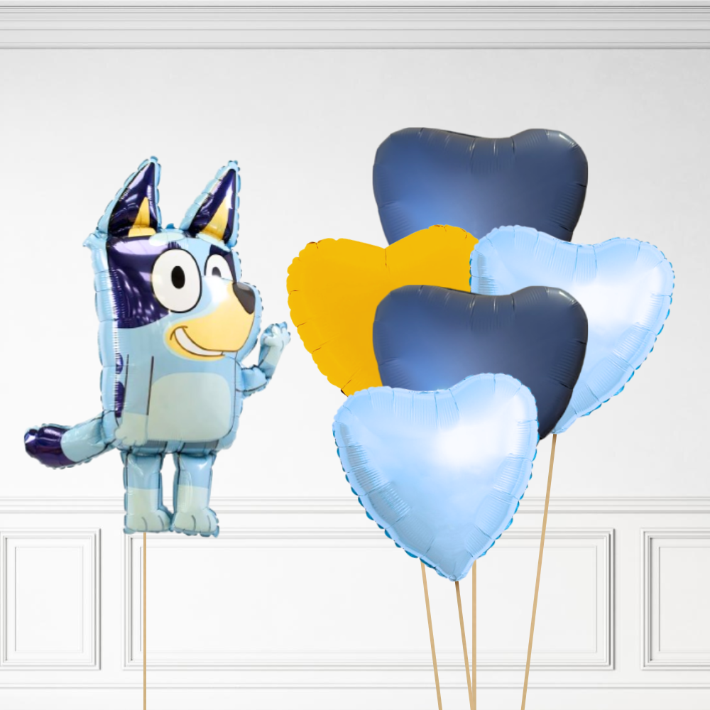 Bluey Bundle
