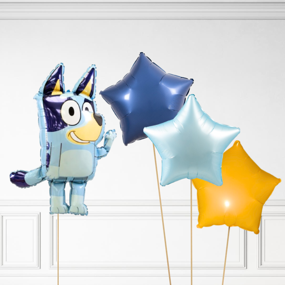 Bluey Bundle