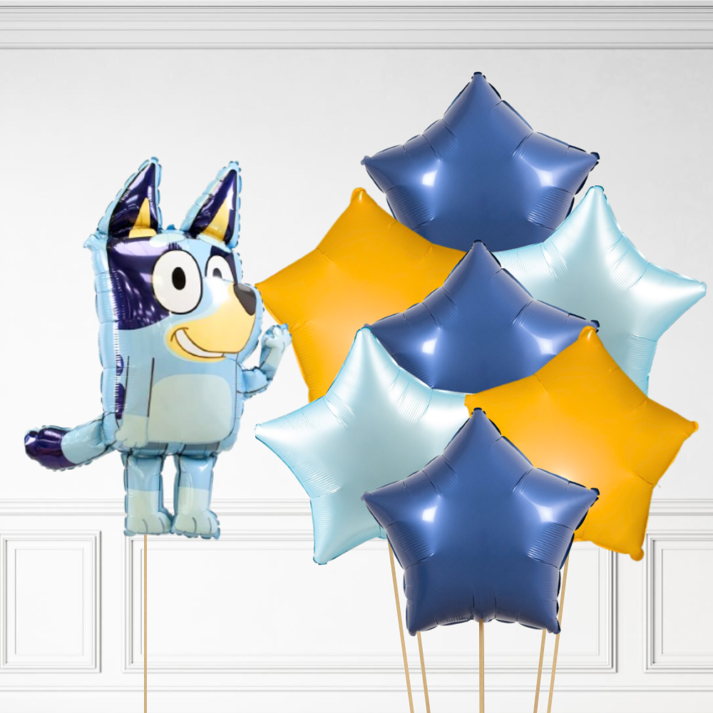 Bluey Bundle